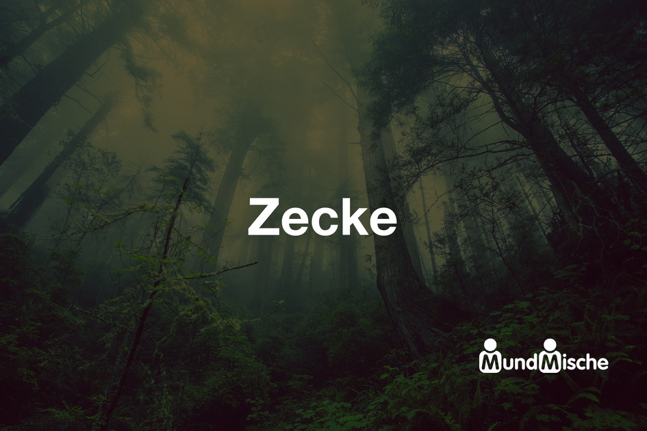 Zecke