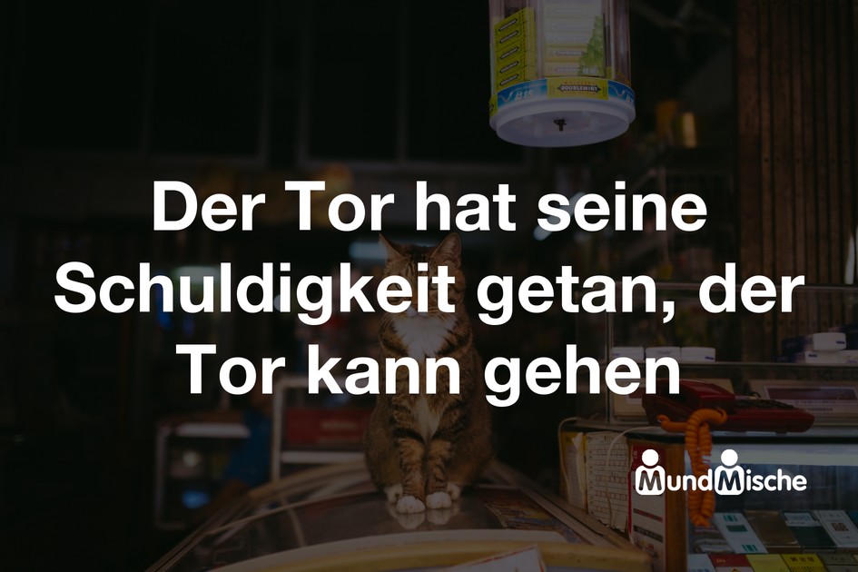 Der Tor hat seine Schuldigkeit getan, der Tor kann gehen