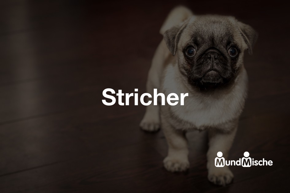 Stricher
